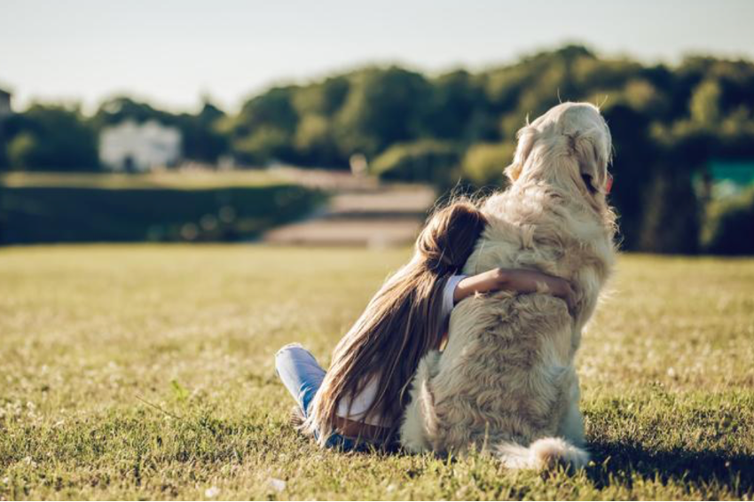 Vetmasi's tweet photo. 🐾💙 El vínculo con las mascotas va más allá del hogar. Pet Power destaca su impacto en bienestar físico, emocional y social 🌍🐶🐱 Reducen estrés, soledad y fomentan hábitos saludables ✨ Más info: https://t.co/rLJ42x9Os1 https://t.co/d7N8ODXK6v