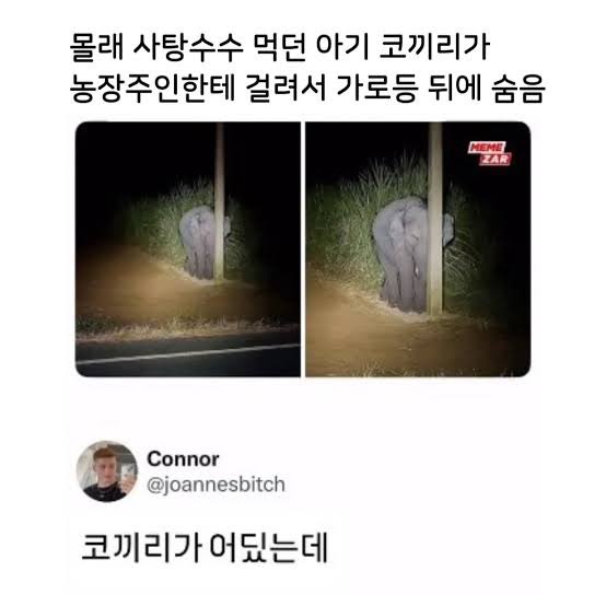 𝑲𝒊𝒕𝒕𝒚💖 tweet media