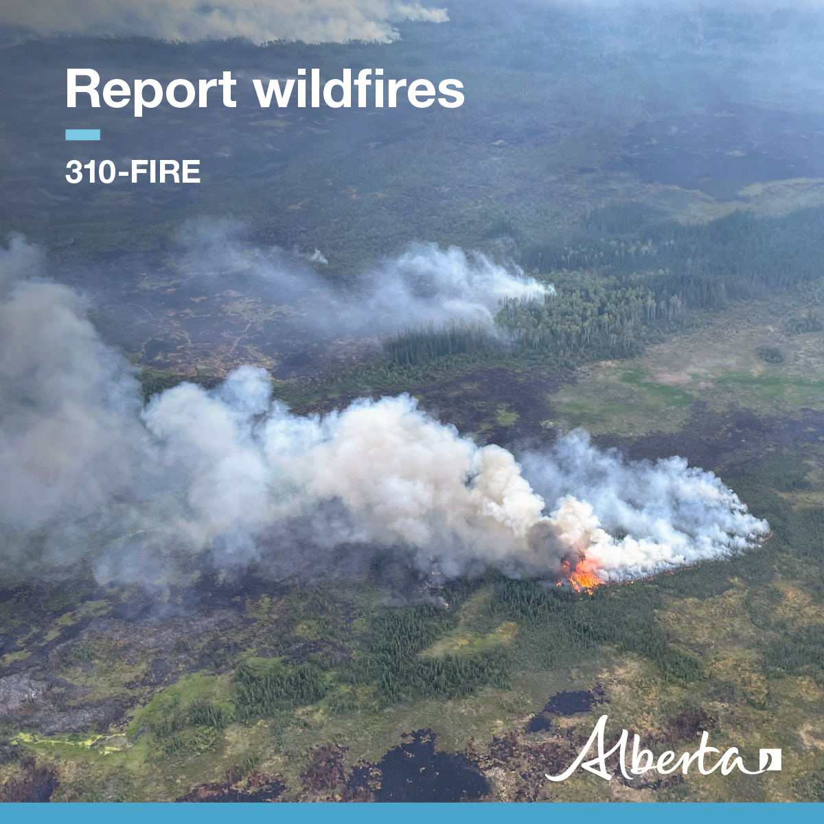 AlbertaWildfire's tweet photo. If you see smoke or fire in the forest, call 310-FIRE (3473). Use the reporting tool in the AB Wildfire Status app to share the exact coordinates of the fire. 

Assistance from the public plays a vital role in detecting wildfires in a timely manner. Your help makes a difference. https://t.co/9M9U1Fhn27