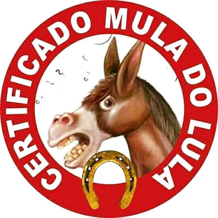 Rafael C. 🇧🇷🇵🇹🇪🇸 tweet media