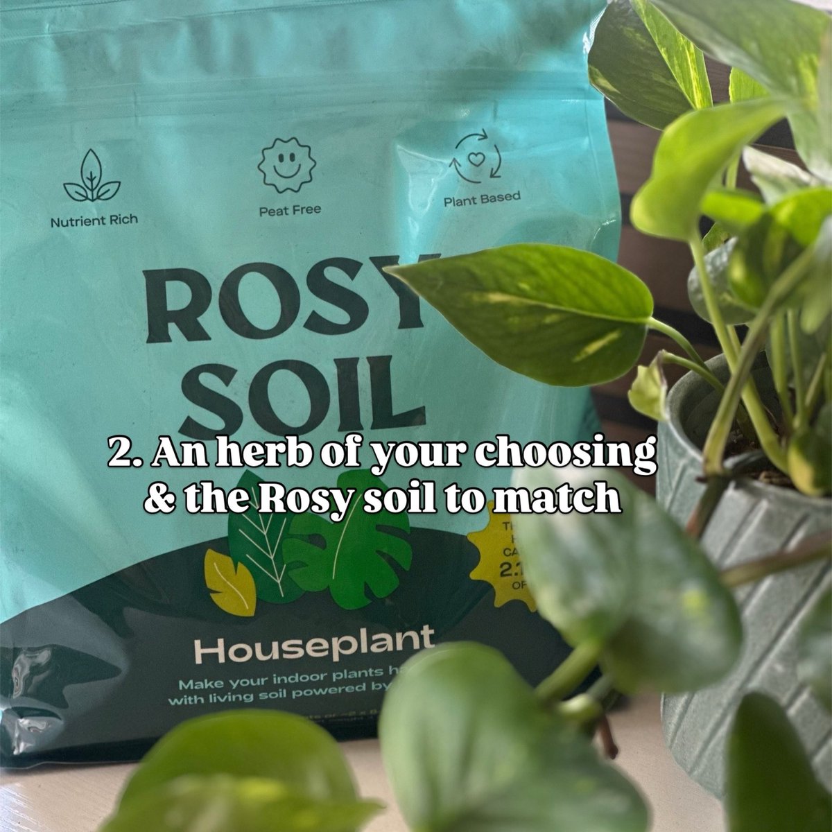 ezrasemeraldatl's tweet photo. Our Rooftop repotting experience is happening this SATURDAY @ 6PM in the MET Penthouse! 🌿 

Tickets are 10% off if you bring a friend ✨✨✨ https://t.co/l4rUSW9ubY