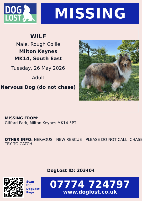 millypod1's tweet photo. 🆘26 MAY 2026 #Lost WILF #ScanMe
NERVOUS - NEW RESCUE - PLEASE DO NOT CALL, CHASE OR TRY TO CATCH
Rough Collie Male
Giffard Park #MiltonKeynes #MK14 5PT
#Buckinghamshire
https://t.co/c3VJraBUlY https://t.co/TX67OWmMNk