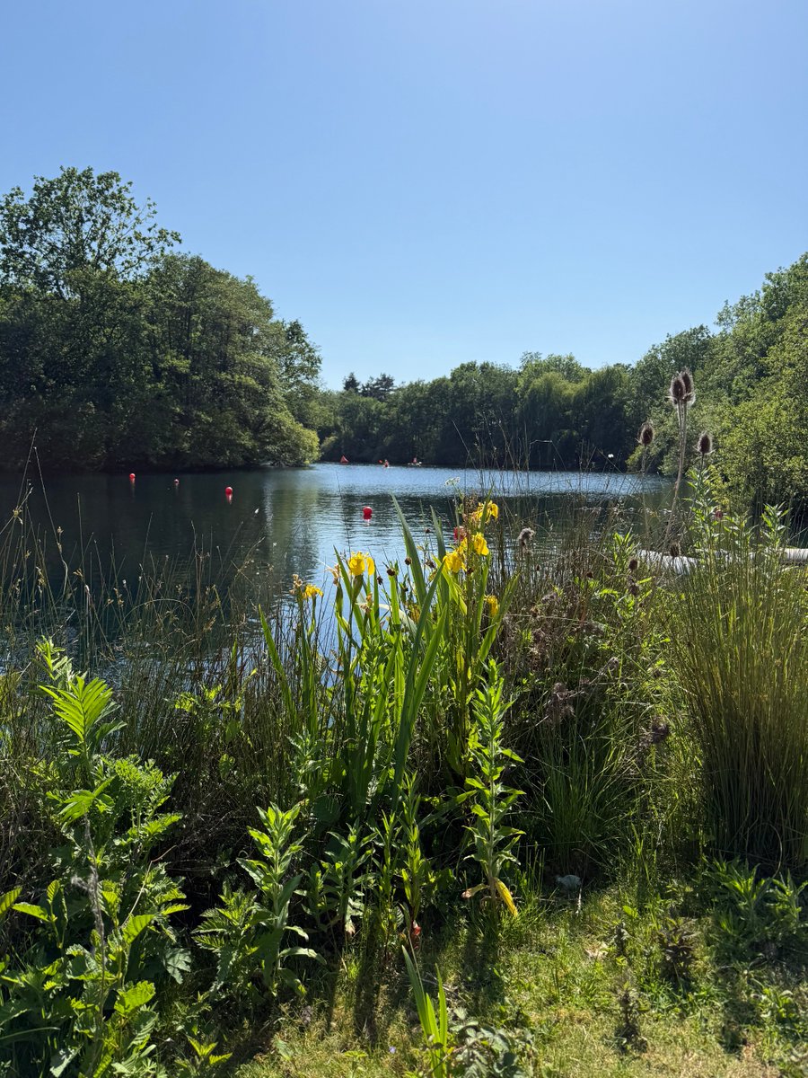 bees4ever7's tweet photo. Lovely way to spend a birthday afternoon , paddle boarding at the local lake 👍🏄🏽‍♂️😎🎉 https://t.co/hn0msOPBG6