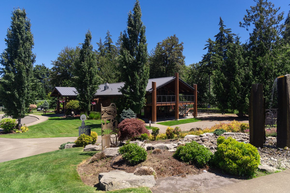 golfnow's tweet photo. Forest-lined fairways. Pacific Northwest views. Championship yardage. 🌲

⛳ 18 holes | Par 72 | 7,269 yards
📍 Salish Cliffs Golf Club | Shelton, WA

Book now: https://t.co/NwyEzJNTDZ
.
.
.
#golfnow #goplay https://t.co/5QaxdVLitu