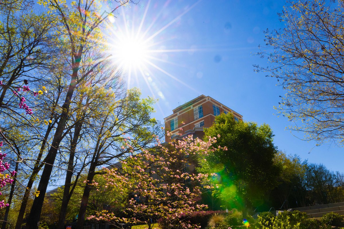 unccharlotte's tweet photo. A bit obsessed with this place 😍 https://t.co/5FouNU2Nbp