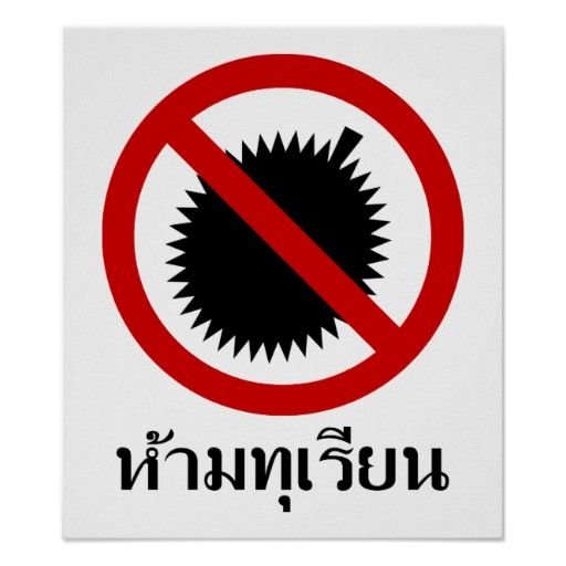 🇬🇧 Scottie 🇹🇭 tweet media