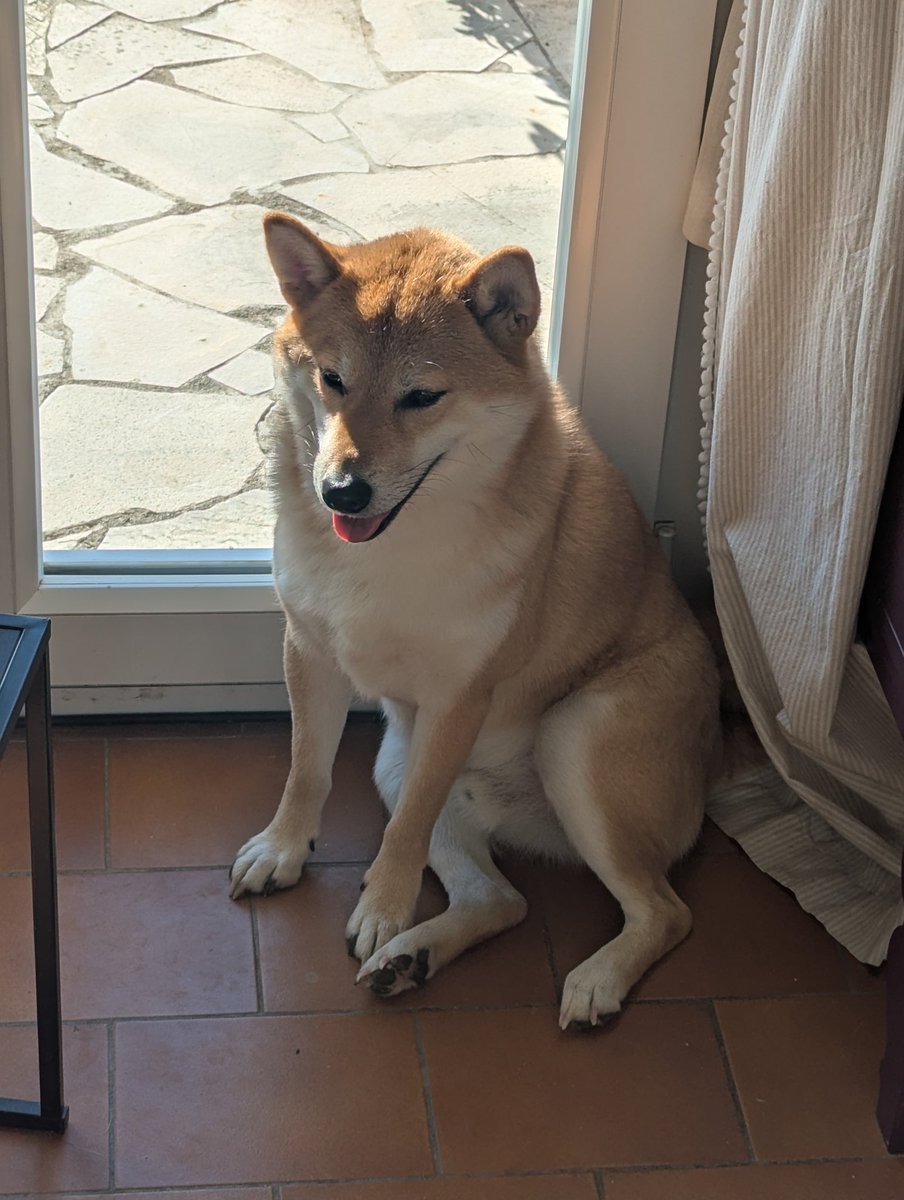 0xM4THY's tweet photo. @LoL_France https://t.co/fvaTOz1qnY