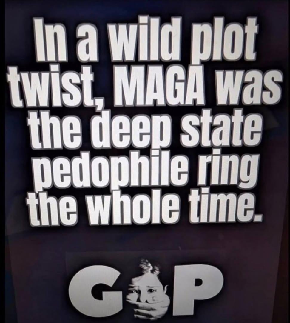 kim o - Never Vote Republican tweet media