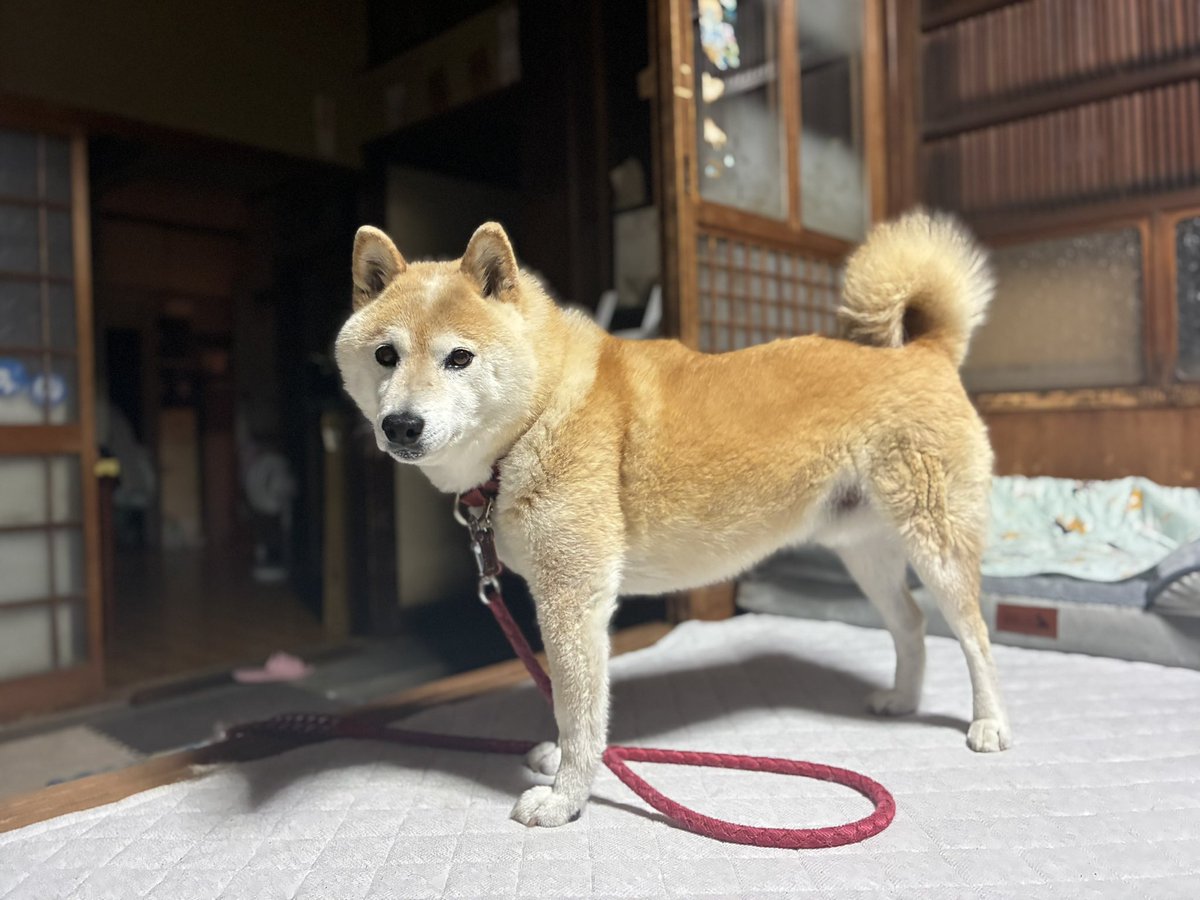 13番 (@PN13ban) / Posts / X