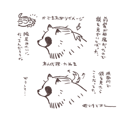 とってもらくがき。髪質はやわらかいほうです。 