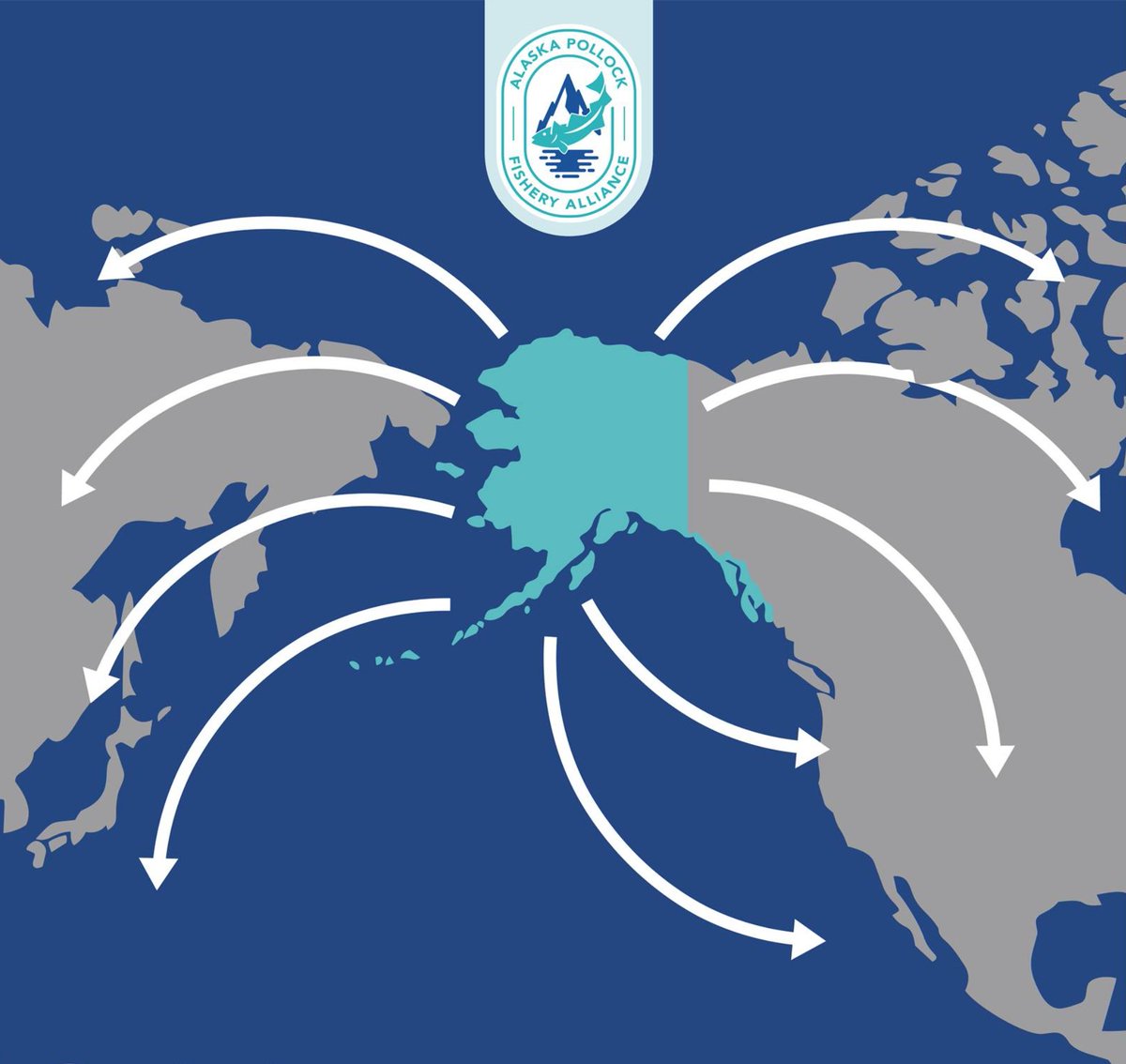 Trawler_Bycatch's tweet photo. Diagram of private equity owned trawlers extracting wealth from Alaska.  

Courtesy of @AKPFA  - Alaska Pollock Fishery Alliance. https://t.co/we81bjw1O0