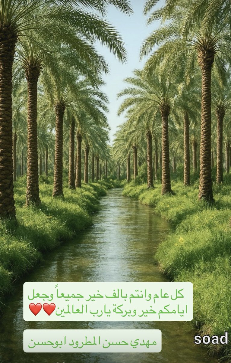مهدي المطرود ابوحسن tweet media