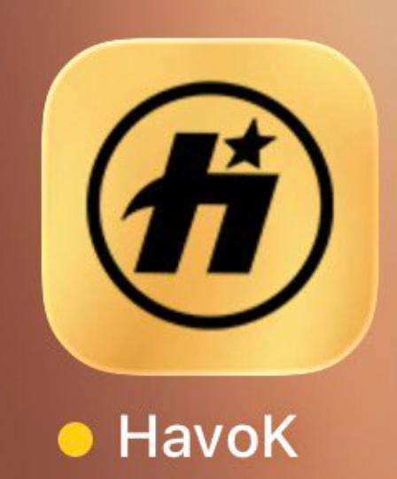 HavoK quaze 🐝 tweet media