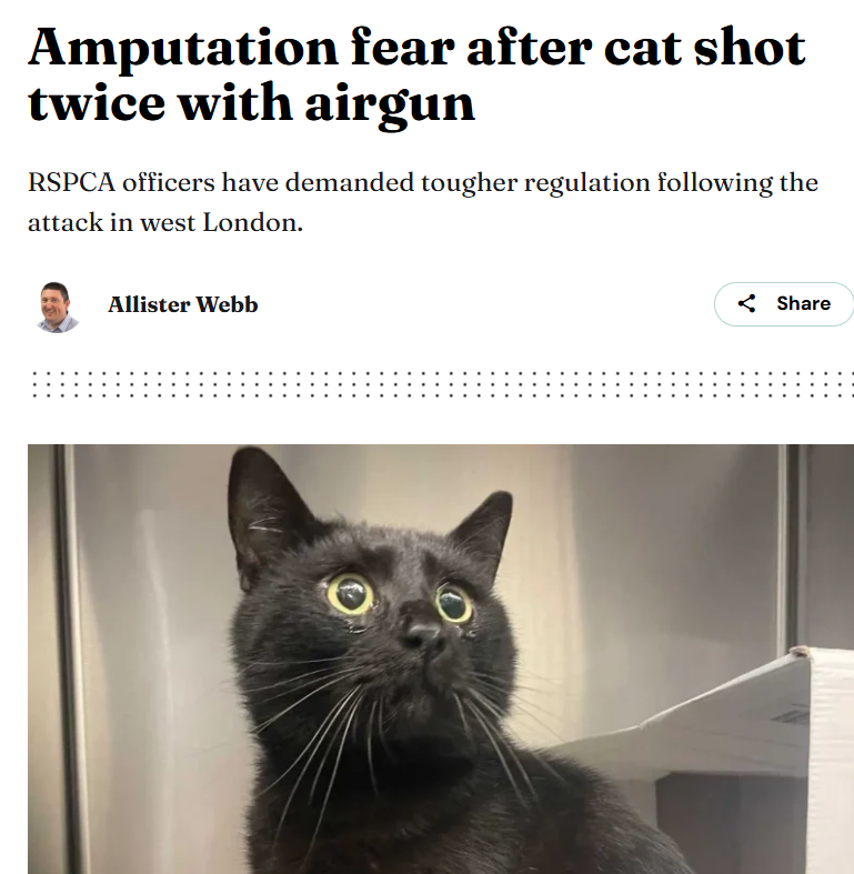 theogdeveloper1's tweet photo. WTF?? POLICE SHOT THIS CAT WITH A GUN???

This is literally PNUT narrative, this cat was shot with an airgun TWO times and is now risking amputation

This local news station just reported on it 1 HOUR AGO, goes viral 100%

https://t.co/6RYE3miI8I https://t.co/MVgKQsNsus