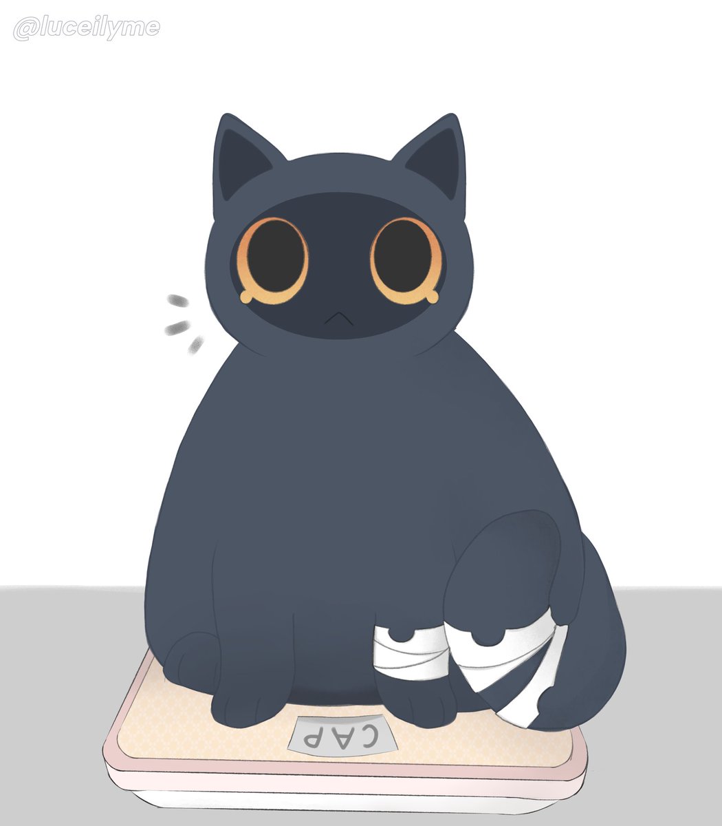 Fat fuck Sesame tweet media