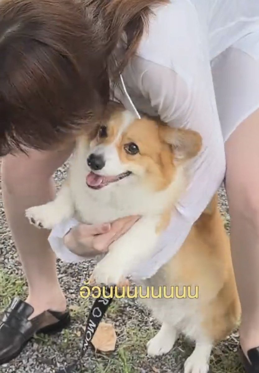 ૮₍⑅ ˶ᵔ ᵕ ᵔ˶⑅₎ა tweet media