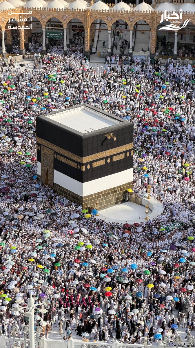 أخبار السعودية tweet media