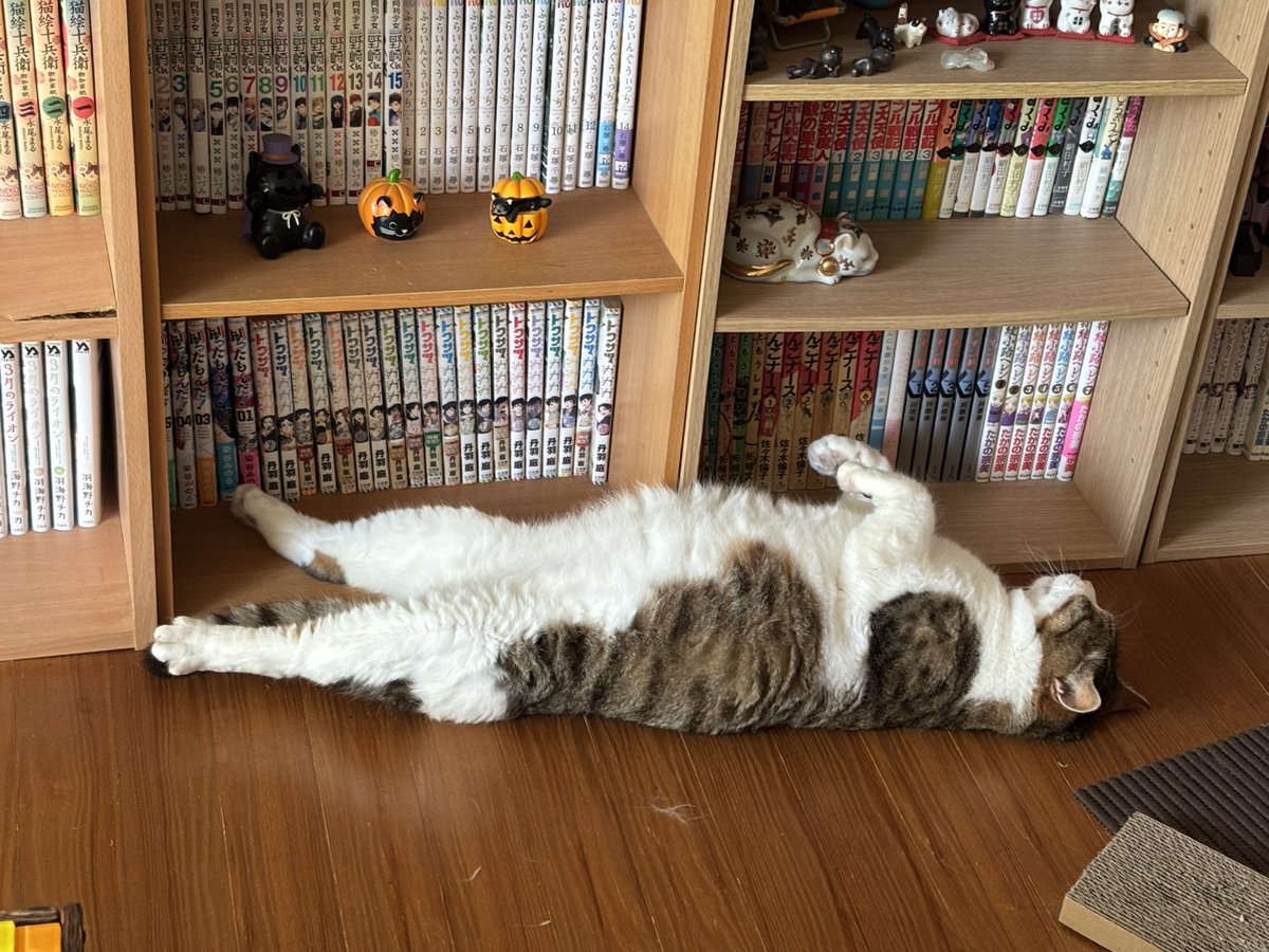 パイン (@Pine_candy8181) / Posts / X