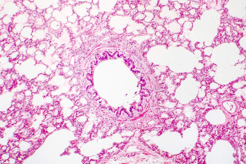 Yale School of Medicine tweet media