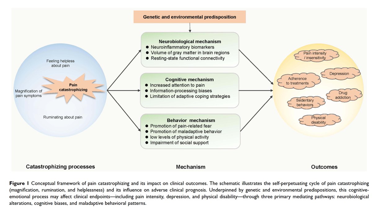PhysioMeScience's tweet photo. The Impact of Catastrophization and Emotions on Pain: A Narrative Review of Underlying Mechanisms

https://t.co/aonkwBdqgt https://t.co/IX5oX6ElvN