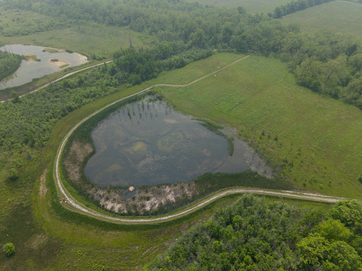 Hamilton_CA's tweet photo. HCA is proud to announce a transformational milestone for the future of Saltfleet Conservation Area 

Thanks to the incredible support of the Hamilton Conservation Foundation and a remarkable gift of $6,075,000 from Heritage Green Community Trust, the Saltfleet Conservation Area Wetland Restoration Project continues to move forward.

https://t.co/LXMO0H3BMD