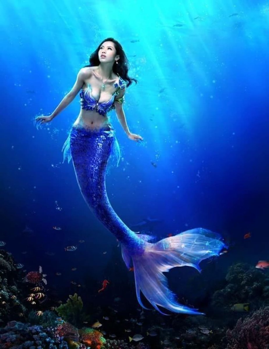 5starpunter_'s tweet photo. Which one of these do you believe is real or just a mythical creature??

Mermaid 🧜‍♀️ 
Unicorn   🦄 
Egbere     👽
Phoenix   🔥 https://t.co/MCb1rP8AUL