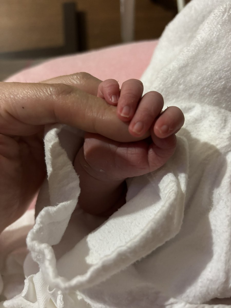 Dekochan712's tweet photo. もうすぐ初老になろうとしてますが、新しく孫ではなくお子を迎え入れました॑⸜(* ॑꒳ ॑*  )⸝⋆*

お外に出てくる前から出てきたあともすーぱーまいぺーすで振り回されとります(˙꒳​˙ )
今までで助産師さん達が1番神病院で楽しい！

年の差きょうだいが愛おしい(*´ω｀*)
久しぶりの1年生！頑張ります！ https://t.co/KkSBl49aEm