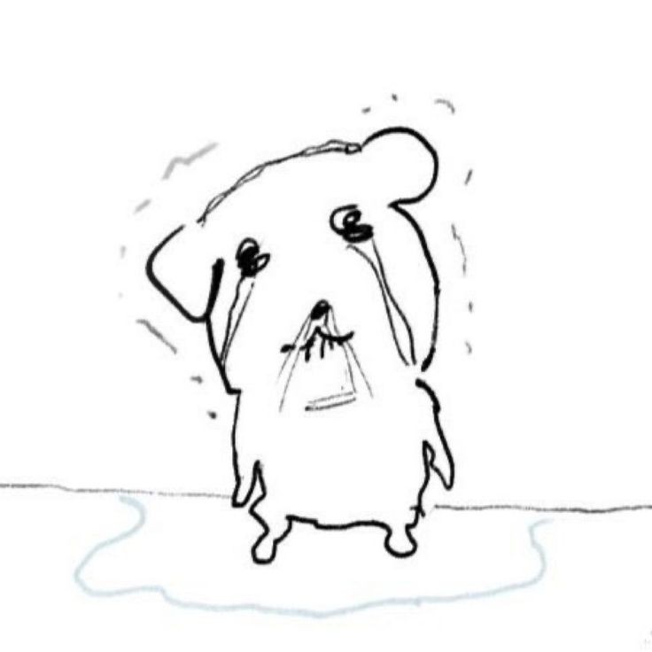 이설 tweet media