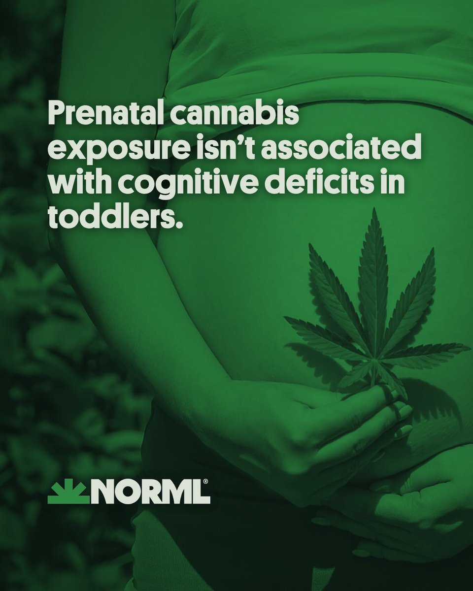 NORML's tweet photo. 🌿 Headlines about pregnancy and marijuana often generate fear first and provide little to no context later. But a newly published analysis found no association between prenatal cannabis exposure and cognitive deficits in toddlers.

Researchers said their findings are consistent with several prior studies reporting no significant long-term differences in cognitive performance or neurodevelopmental outcomes.

🔗 Read more: https://t.co/LdMzeUL3KJ