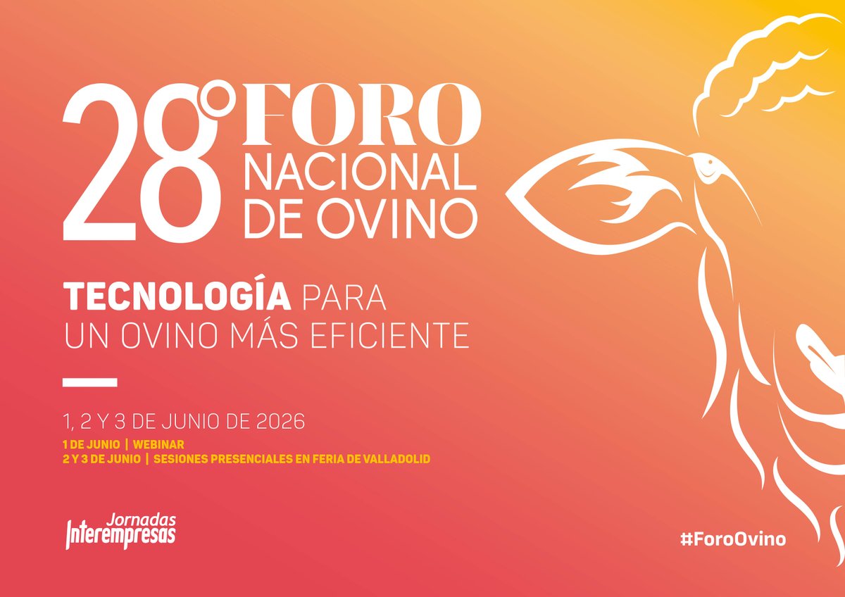 interovic's tweet photo. 📍 #Valladolid acogerá el Foro Nacional de Ovino 2026

▶️3 jornadas, +30 empresas y un programa centrado en sanidad, nutrición, digitalización y sostenibilidad del sector.

Un punto de encuentro clave para el futuro del ovino en España.

🔗 https://t.co/SwSk837V88 https://t.co/raniDpZKWm