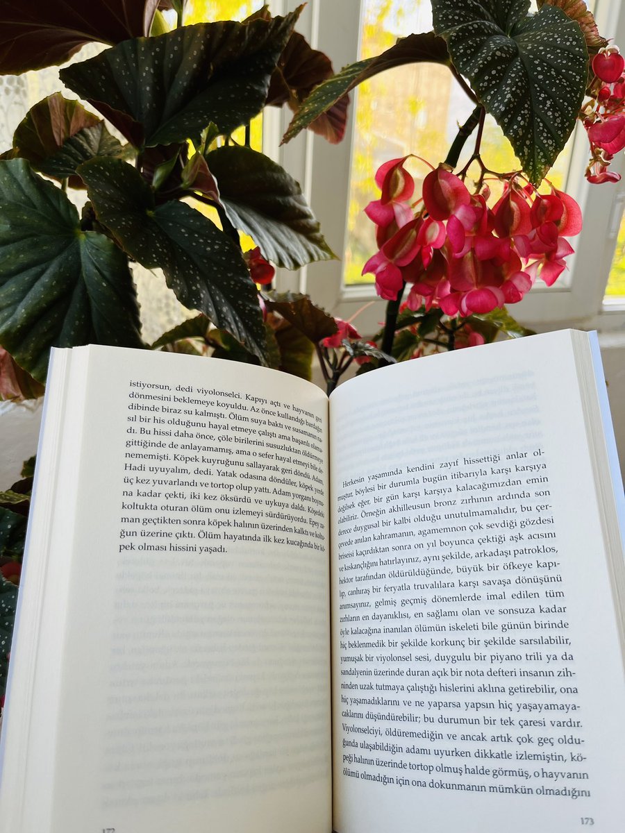 evinak_s's tweet photo. Kitaplı günler… 🌺📖
#KurbanBayramımızMübarekOlsun https://t.co/Z0SRSXdJUl