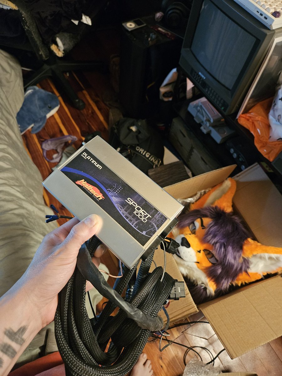 AlexVsFox's tweet photo. SHE GOT ME A HALTECH FOR THE K24 E36

got me a girl that wants me to achieve my dreams https://t.co/FWk95gYO6U