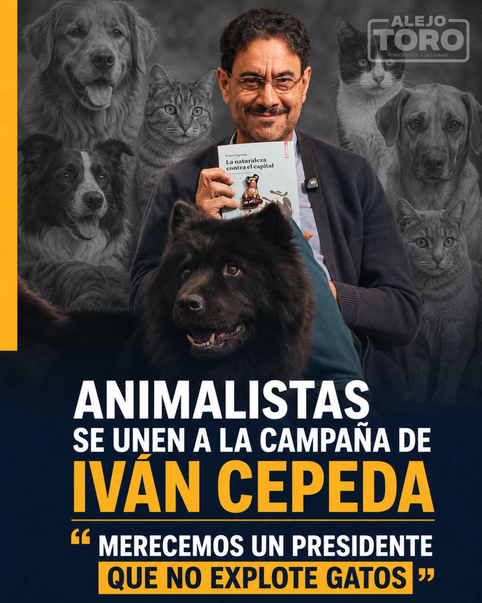Alejo TORO tweet media
