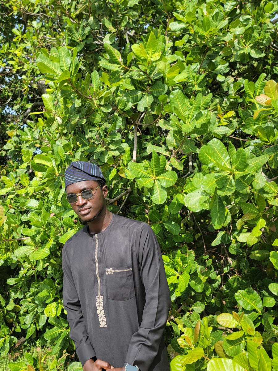 Rofeeq™ tweet media