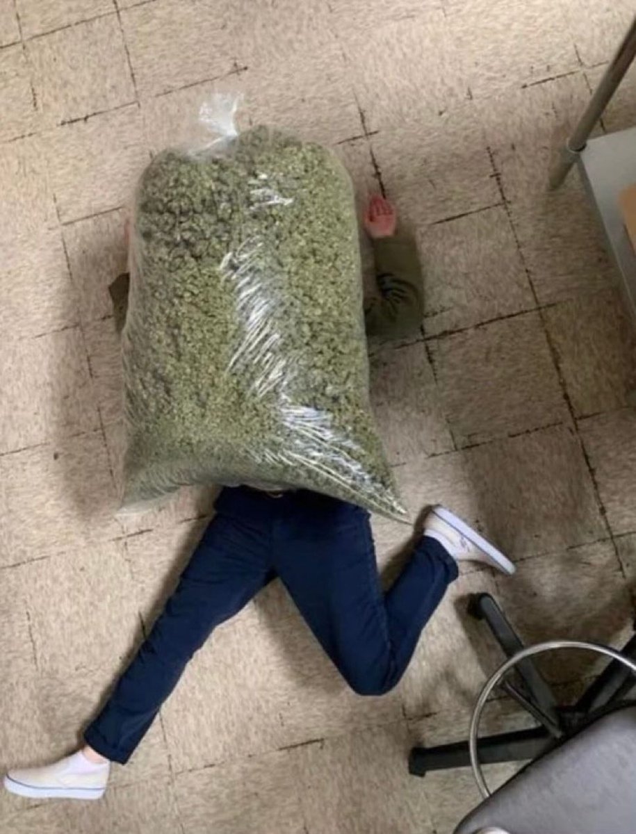 Weed Porn tweet media