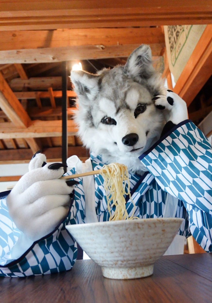 kamodaniookami's tweet photo. どんオオカミ🍜🐺 https://t.co/gDaDCE6oWK