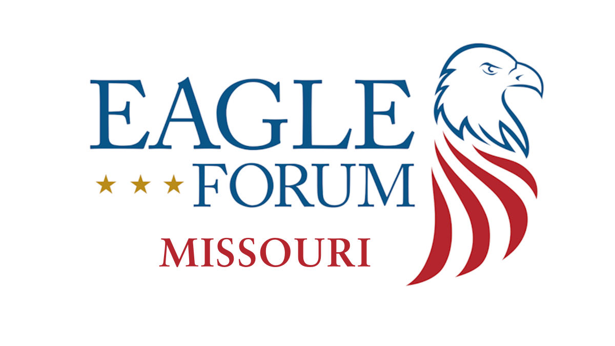 EagleForum's tweet photo. MISSOURI: Scrap the Tax Event - Thursday, June 18, 2026 | 5-7 PM | Learn the ins and outs of potential changes to the Missouri income tax system with special Guest speakers! #Taxes  https://t.co/rtc1vGEwe7 https://t.co/7Jx7vc3vbl