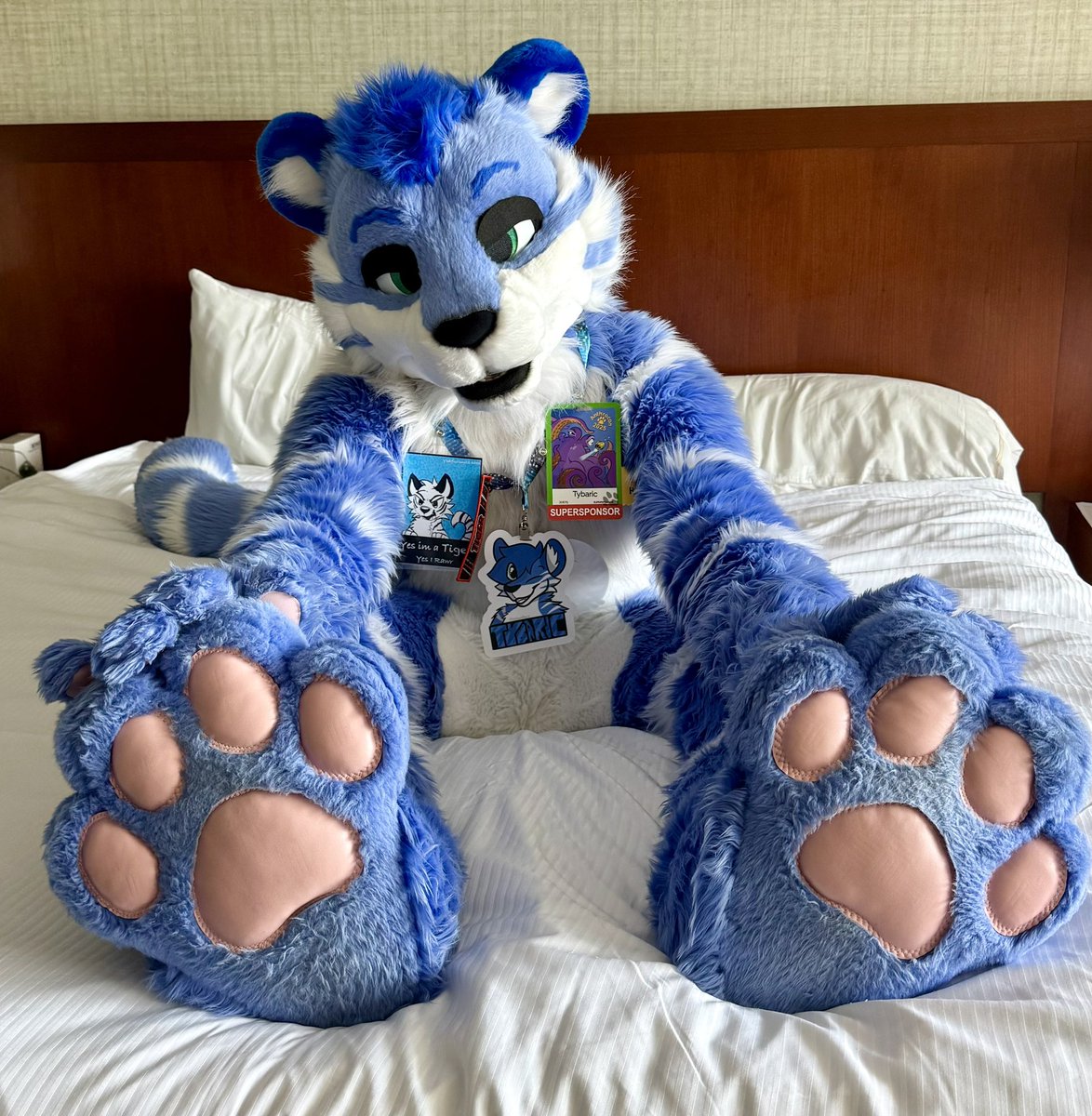 Tybaric 🔜 Anthrocon tweet media