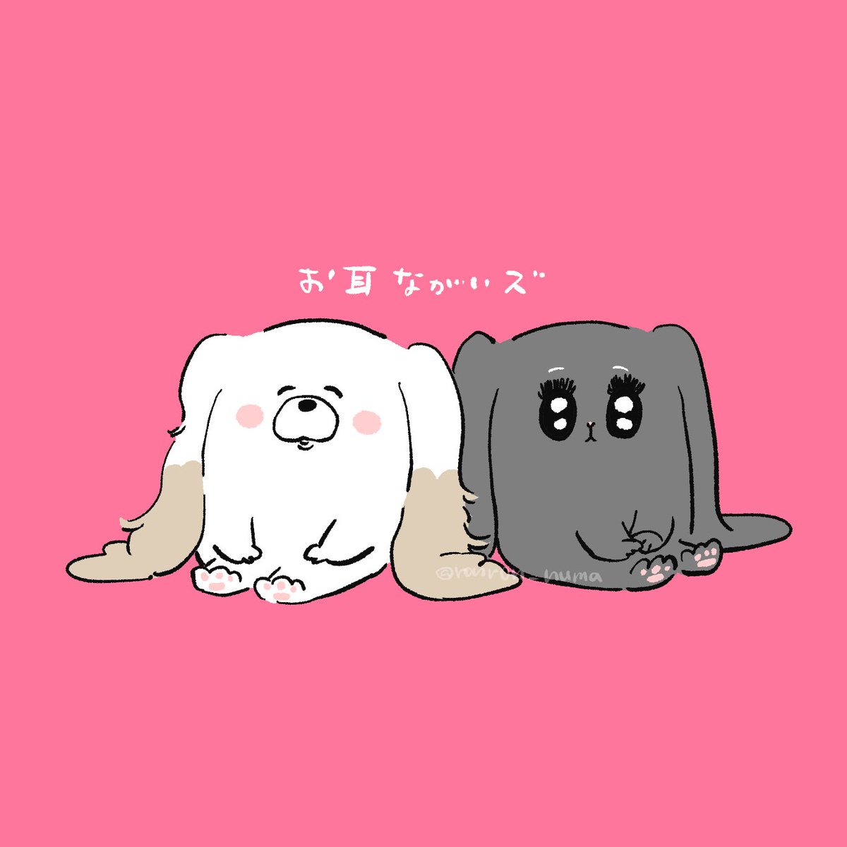 スーちゃん！！ スーちゃん