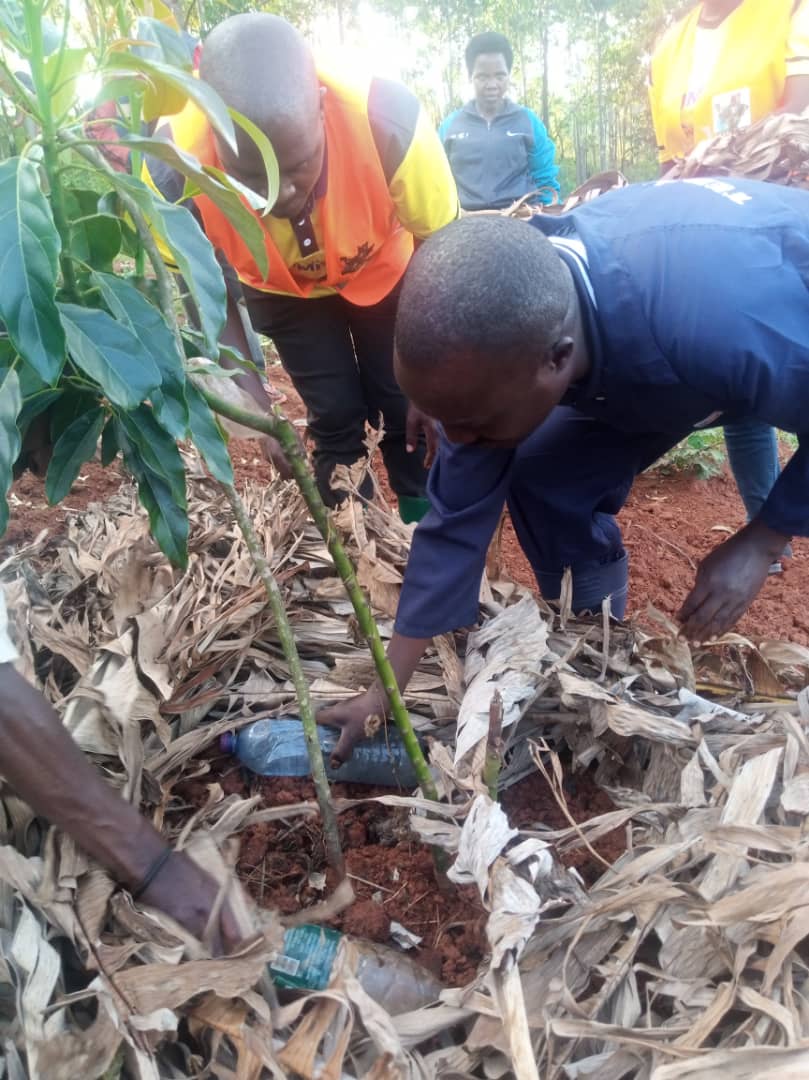 CnddFddButanyer's tweet photo. #Matongo, kugiterwa c'ivoka ni #ZéroEchec, #Gufumbira hamwe no #Gusasira, n'ico gikorwa Umunyamabanga w'umugambwe CNDD-FDD muri komine #Matongo yashikiyemwo igihe yishikira muri #ZoneNinga k'uwu wa 27/5. Yaciye agirako abahura kugikorwa co kuzivomera kuko twamaze kwinjira mw'ici https://t.co/0oH4LLhi3V