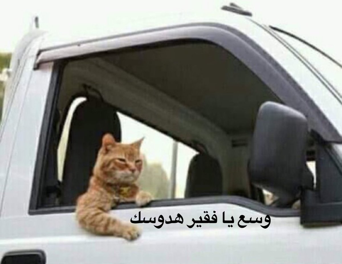 m10m392's tweet photo. @kiir4__ @forcabarca_ar ههههههههههههه https://t.co/EPTen8zImj