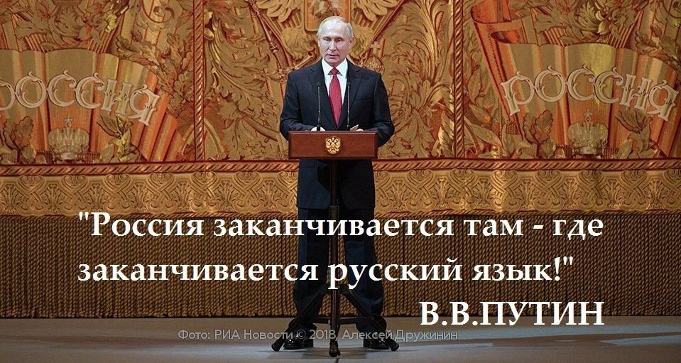 Гайдамака tweet media