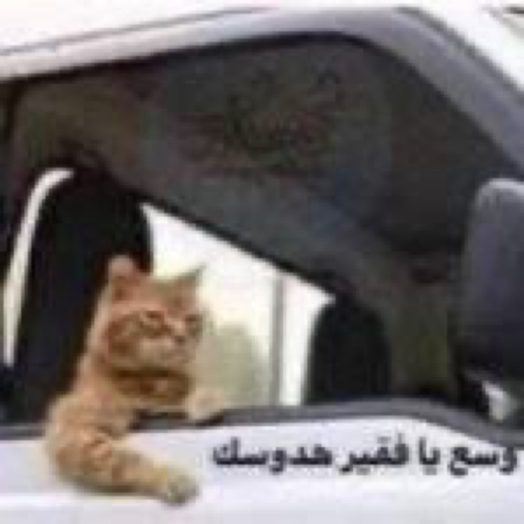 علي الهاشمي (احتياطي) tweet media