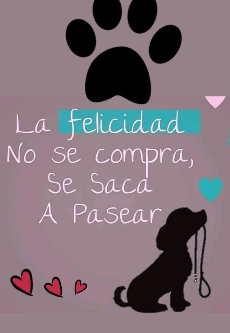 rey_latino33087's tweet photo. https://t.co/dXLfSaCwXB