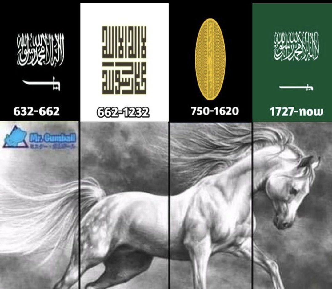 محمد الشريف 🤴🏻 💚 🇸🇦 tweet media