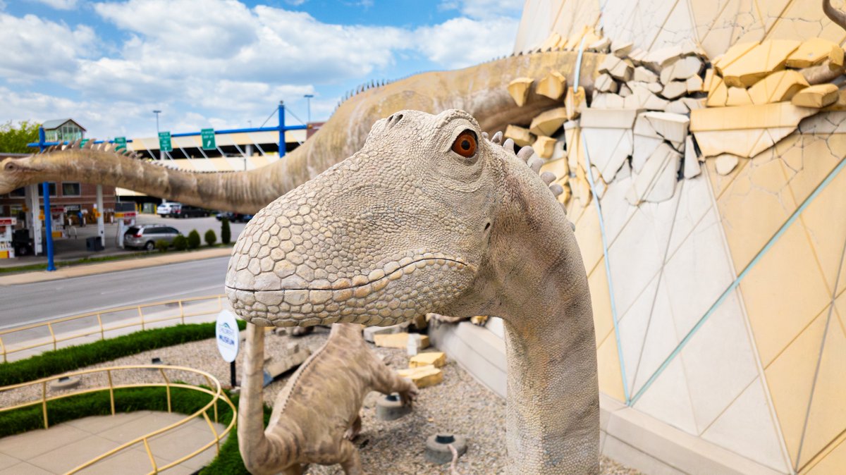 TCMIndy's tweet photo. https://t.co/zHn2rnyDl5