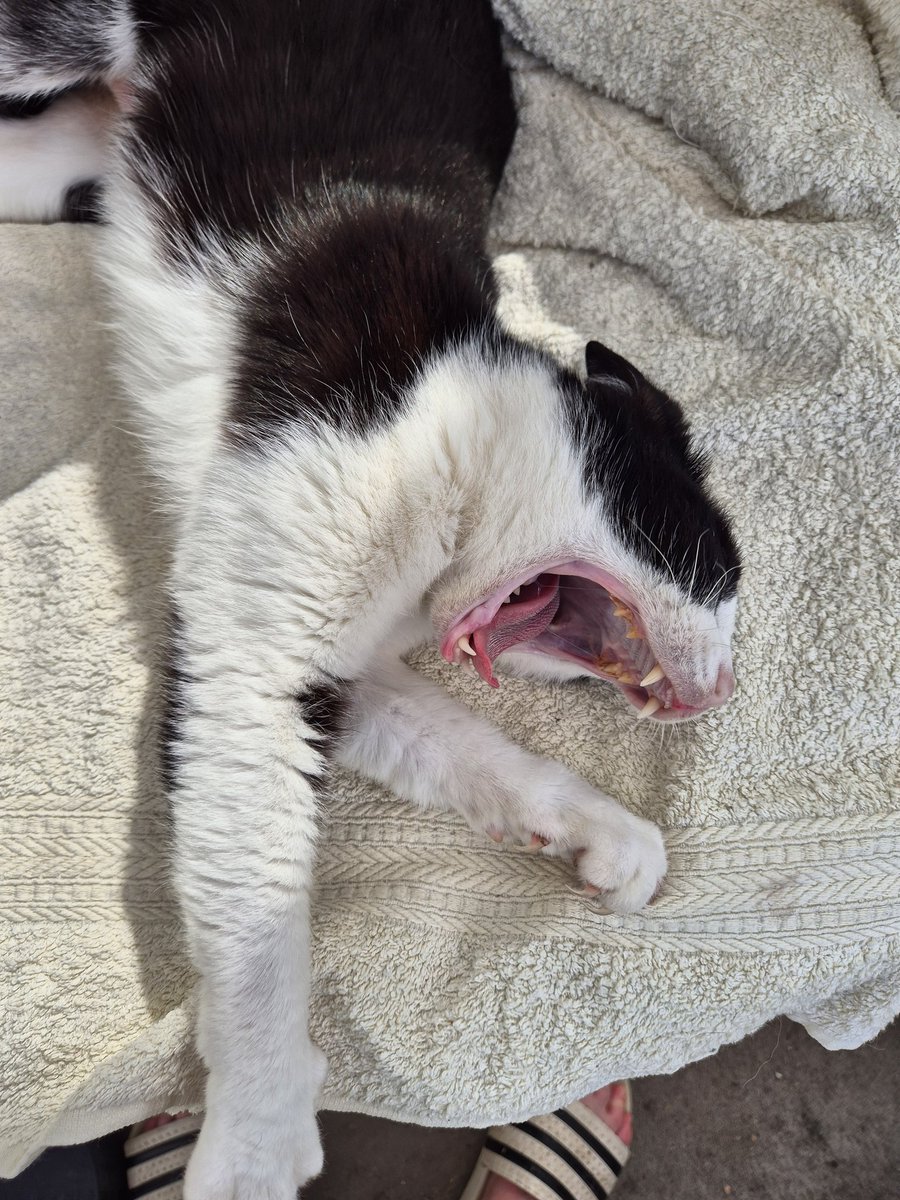 joris1971's tweet photo. Twix,mijn monster https://t.co/2Wt3wOreJk