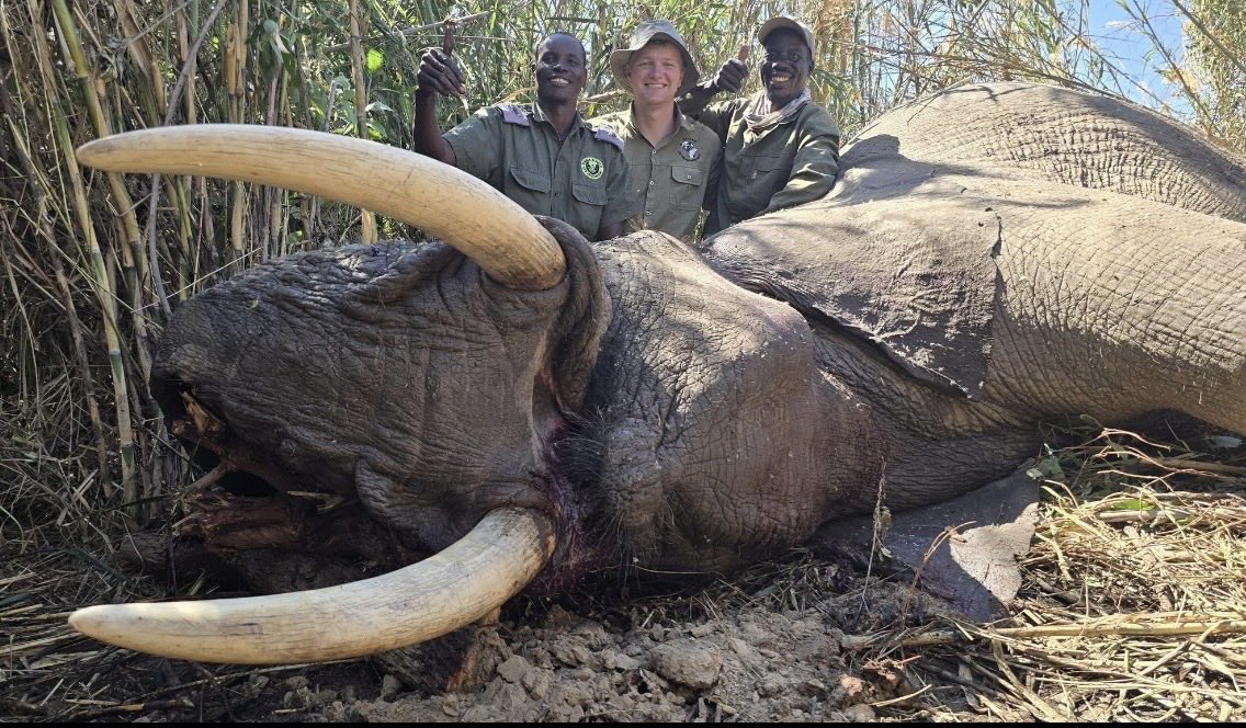 Xpose Trophy Hunting tweet media