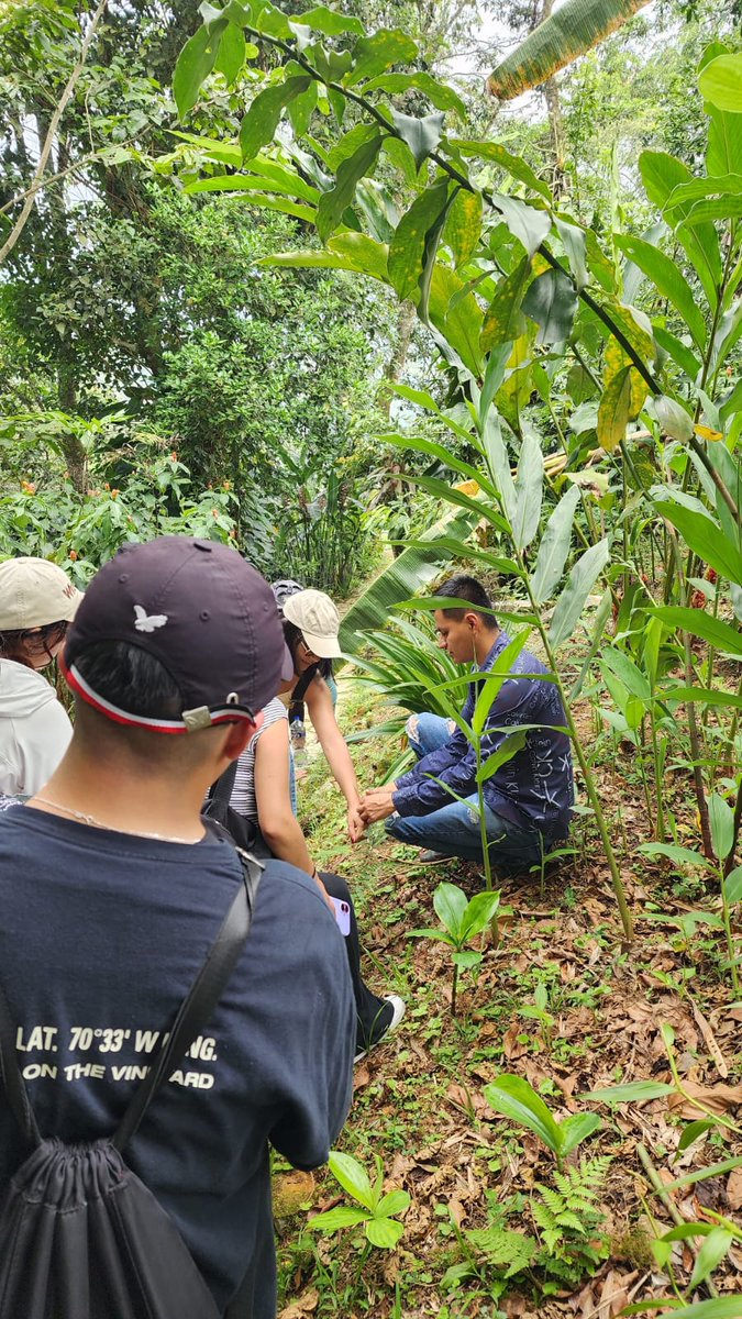 ITESA_OFICIAL's tweet photo. Estudiantado de LT realizó una visita académica a Cuetzalan, Puebla, fortaleciendo sus conocimientos en ecoturismo, turismo sustentable y desarrollo comunitario a través de experiencias culturales, ambientales y gastronómicas.  #TurismoITESA #Cuetzalan #Ecoturismo #OrgulloITESA https://t.co/jyQGXdPlEu