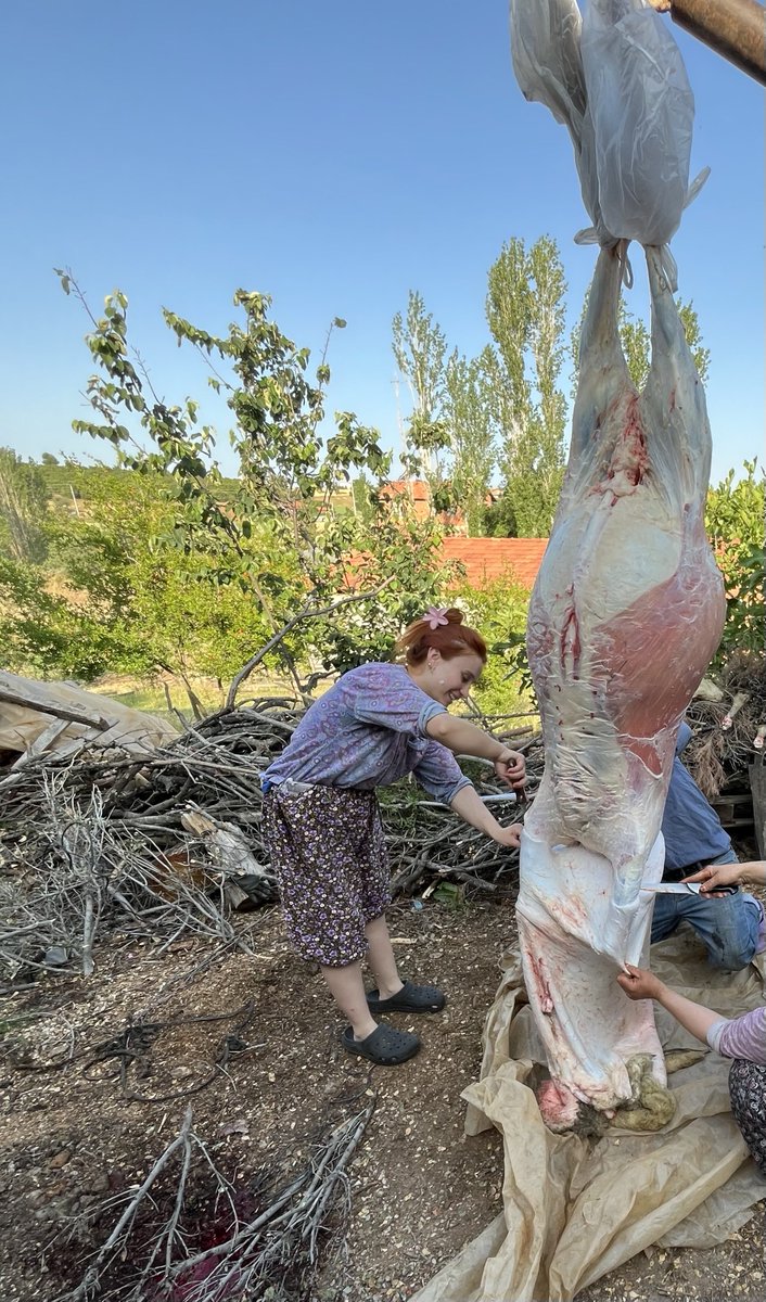 hudeaise's tweet photo. Ete dokunamayan aşko kuşko kızların yanında bizim hayvanlık https://t.co/CP4ov5O4LX